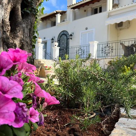 Villa Ampelaki 2 Paleokastritsa Bagian luar foto