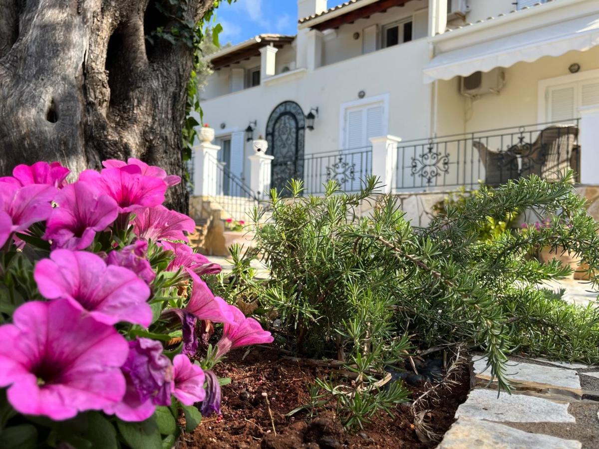 Villa Ampelaki 2 Paleokastritsa Bagian luar foto