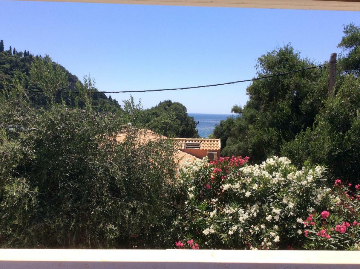 Villa Ampelaki 2 Paleokastritsa Bagian luar foto